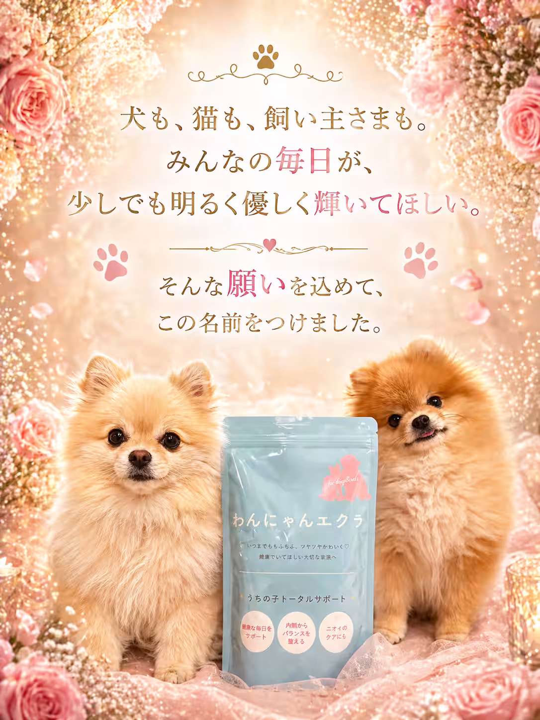 画像11