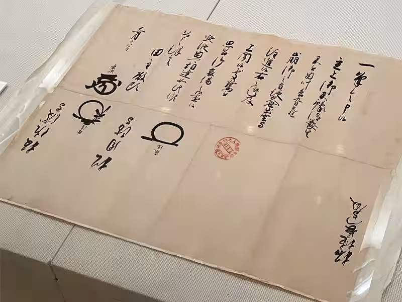 画像4