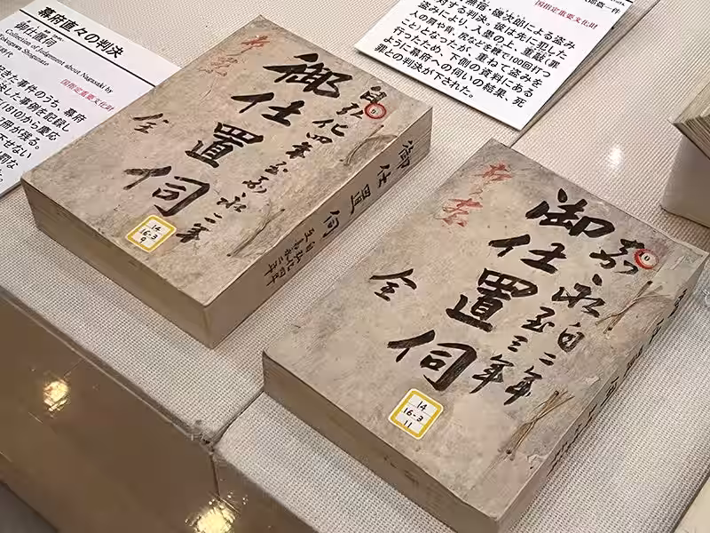 画像8