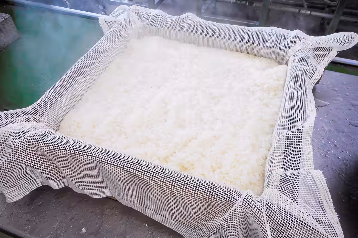 画像15