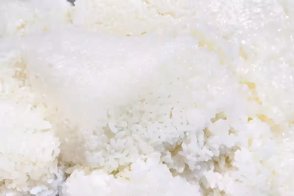 画像16