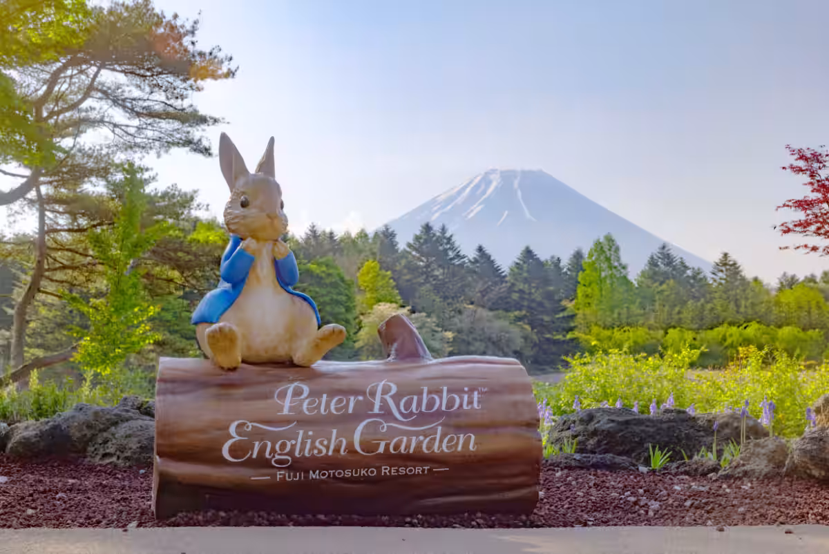 画像7