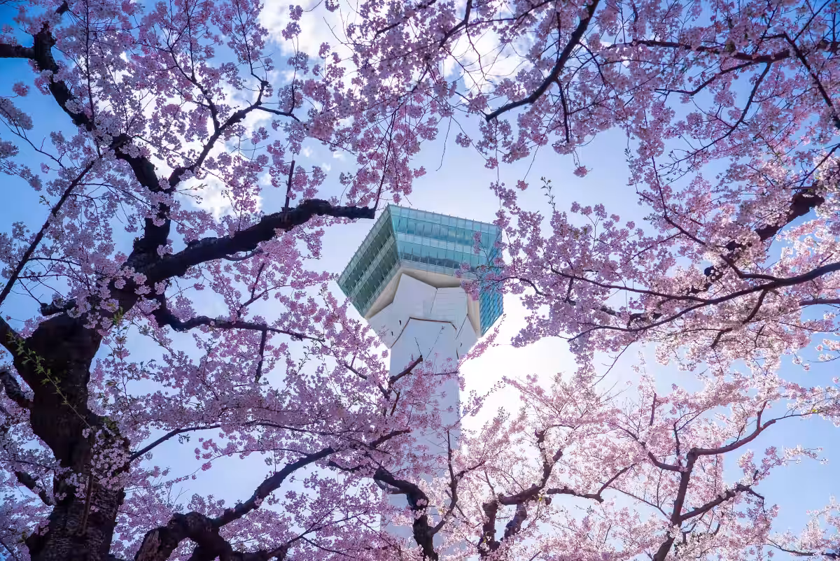 画像12
