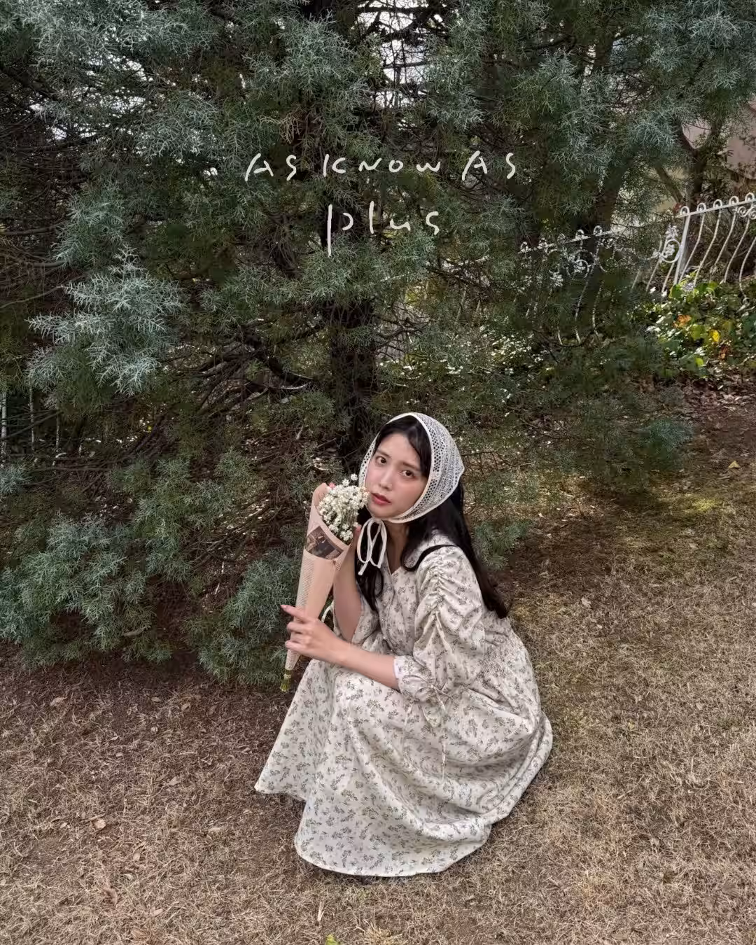 画像11