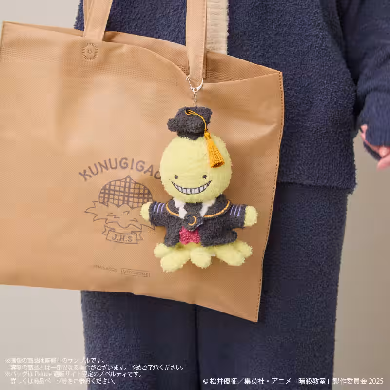画像14