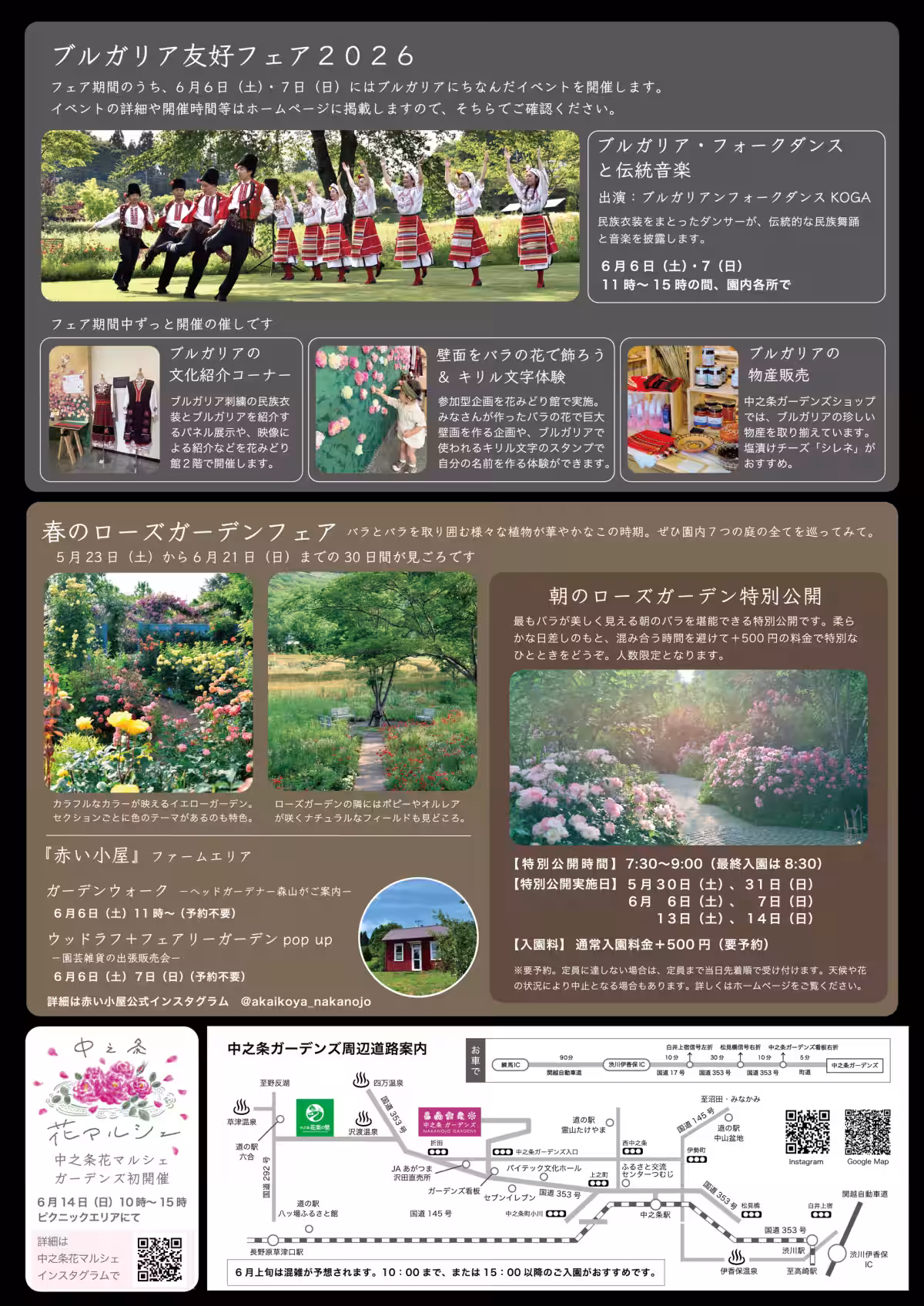 画像11