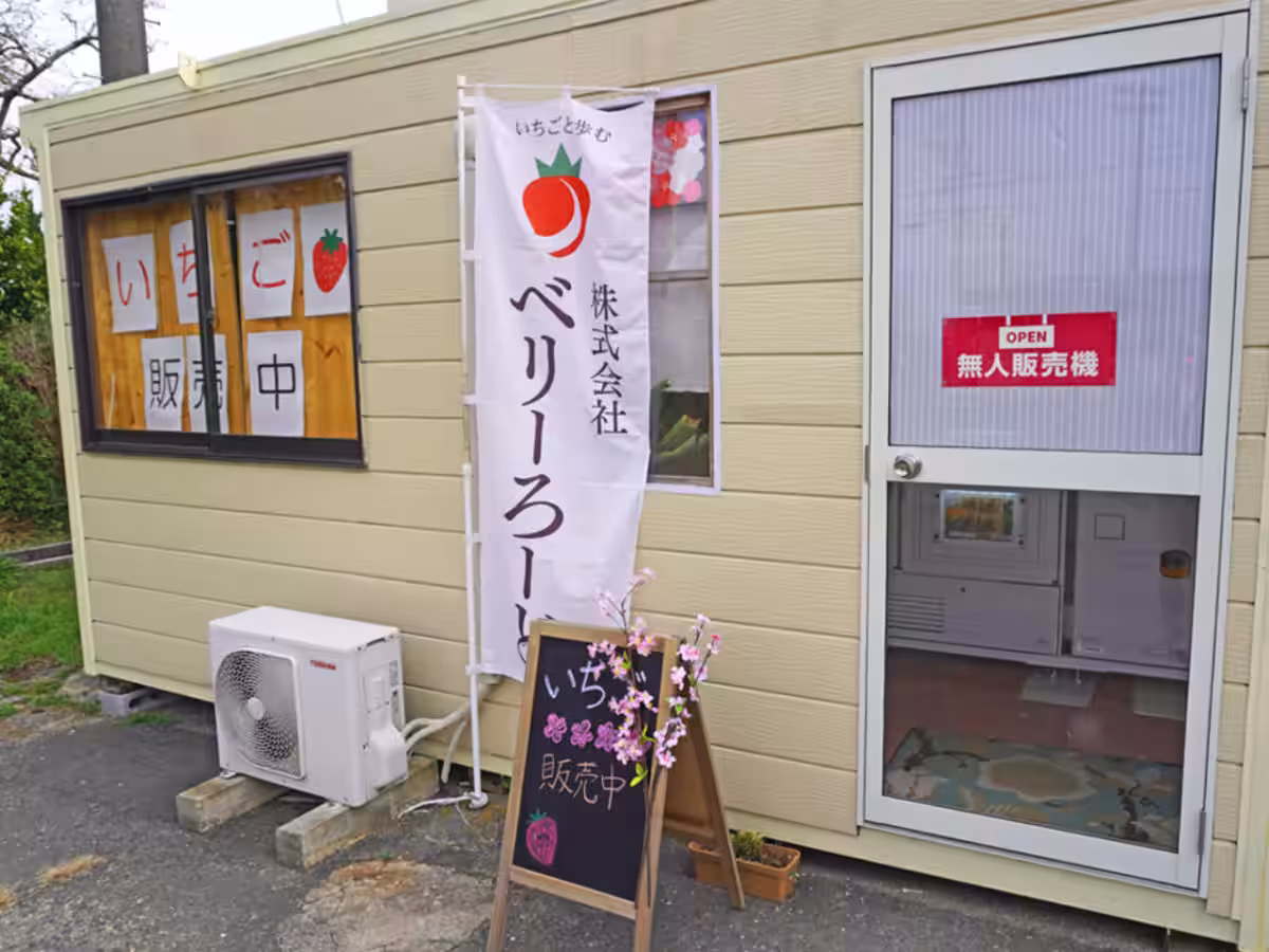 画像5