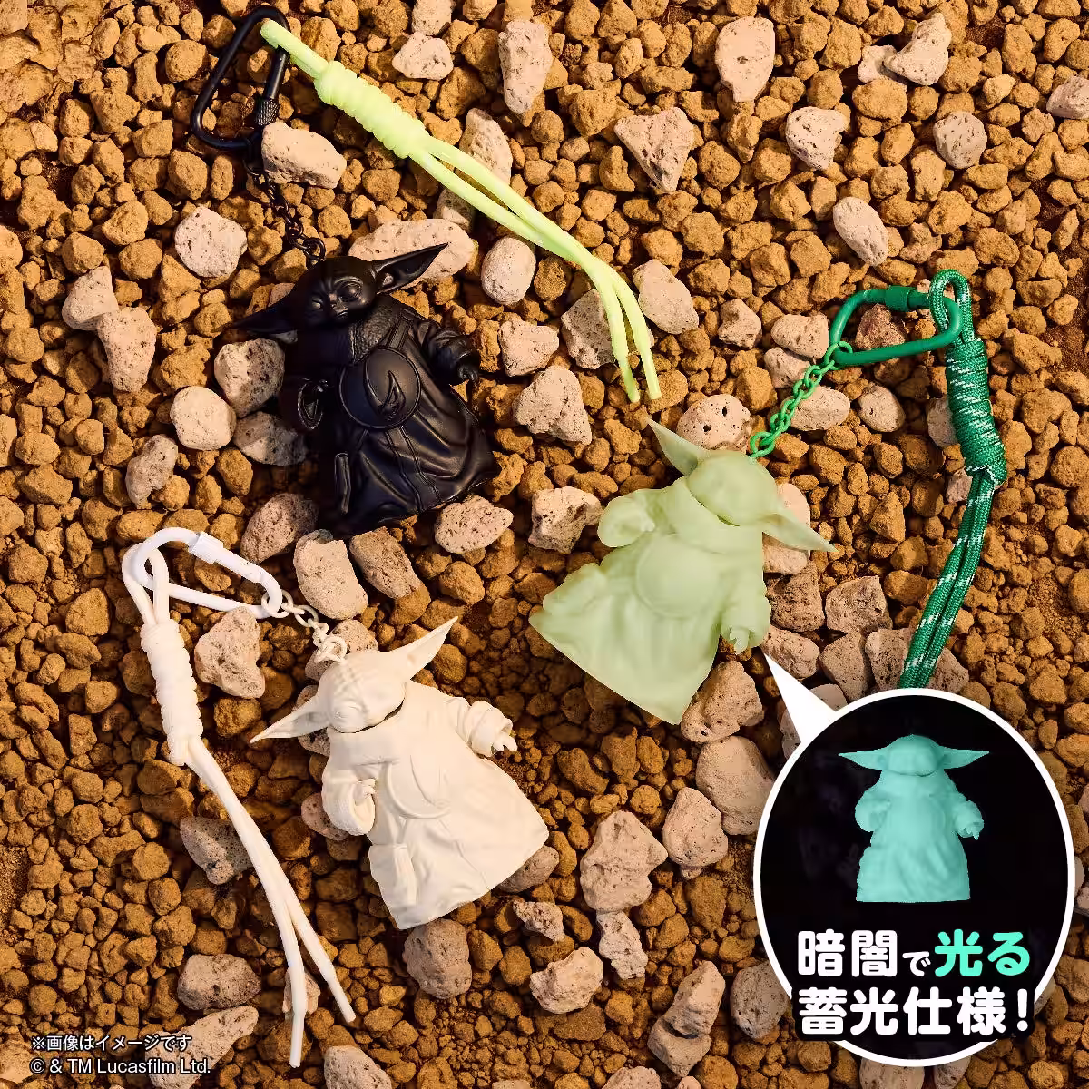 画像7