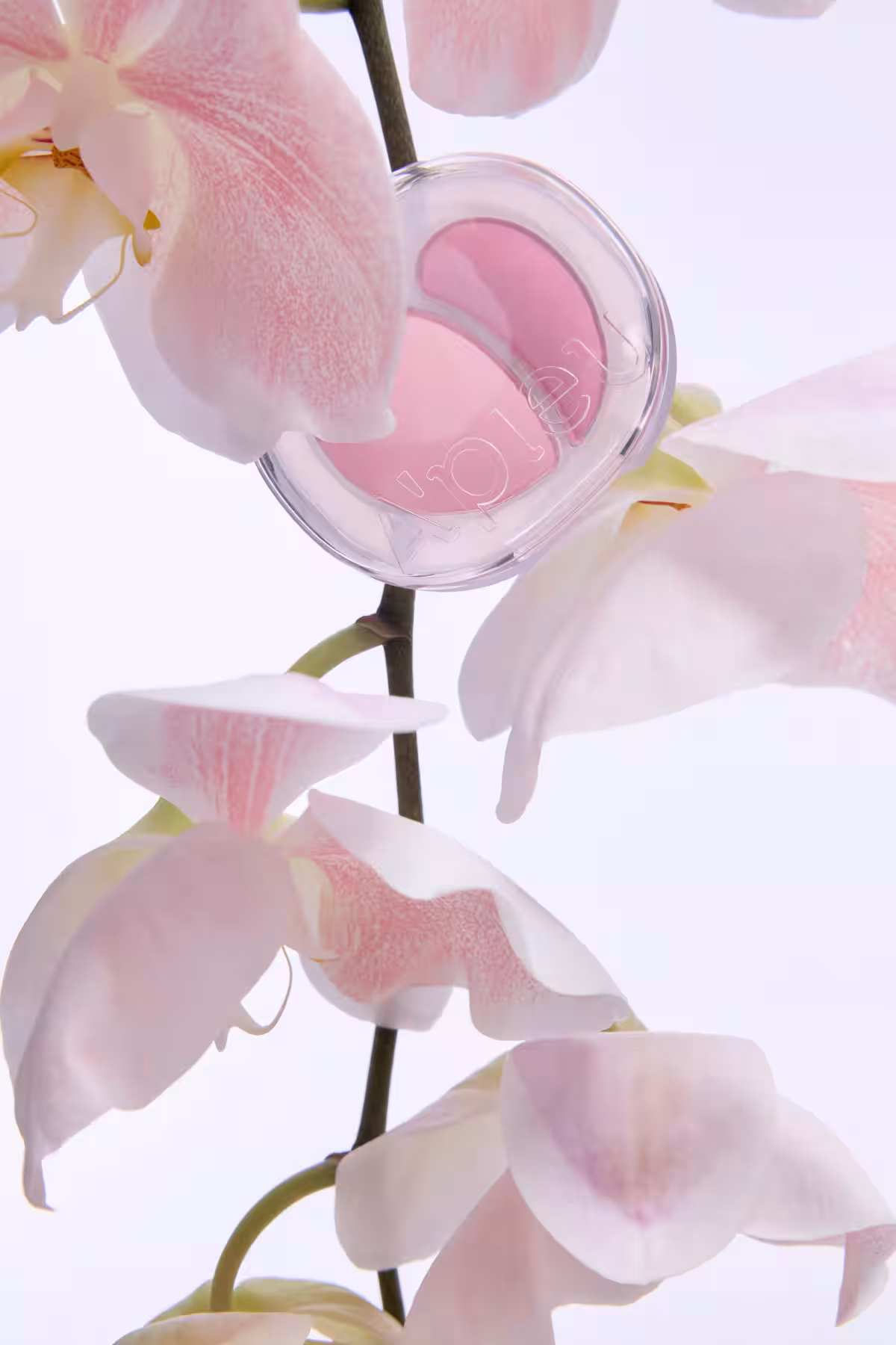 画像17