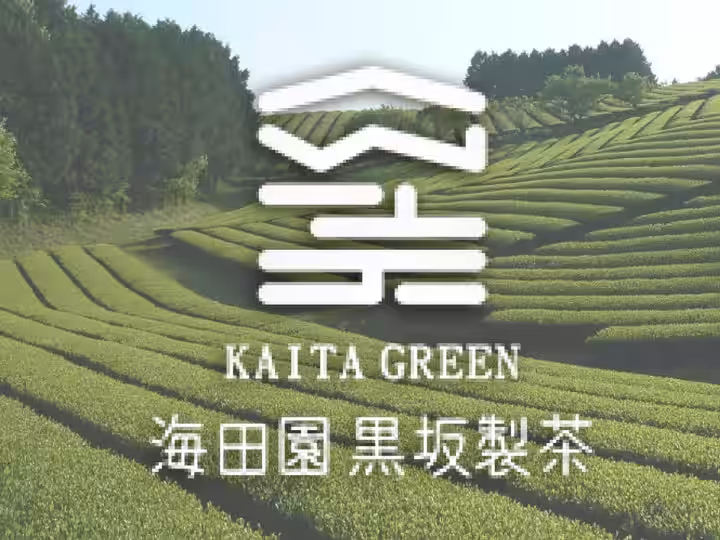 画像11