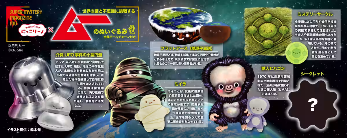 画像8