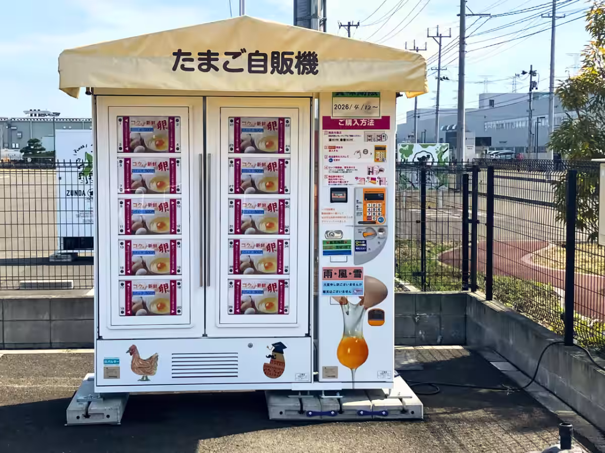 画像7