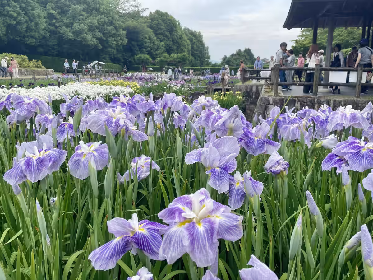 画像1