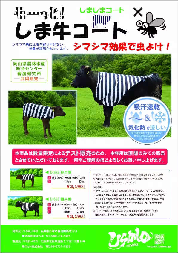 画像7