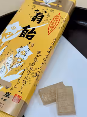 画像9