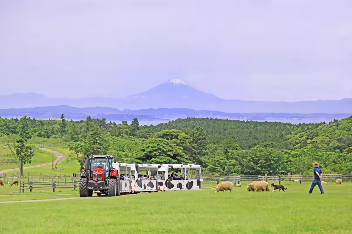 画像9