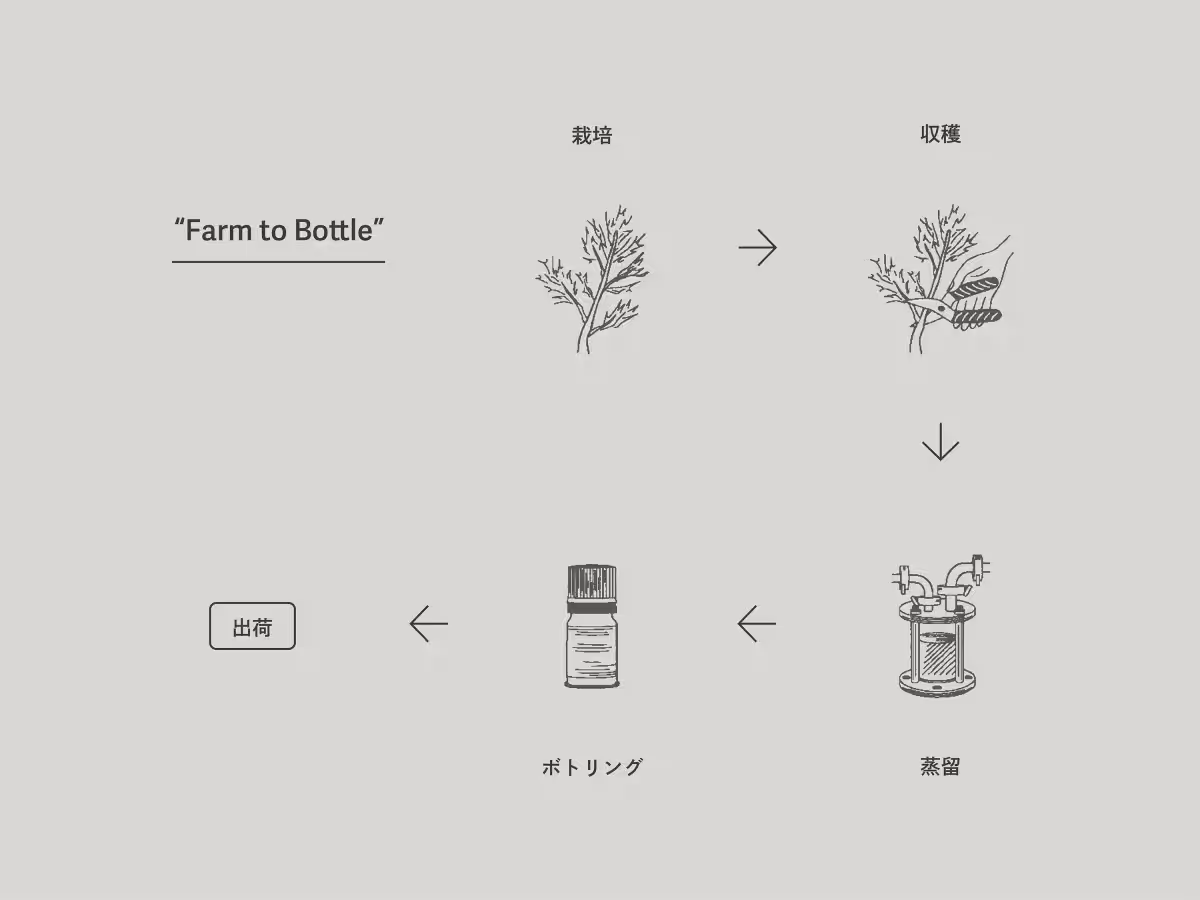 画像20