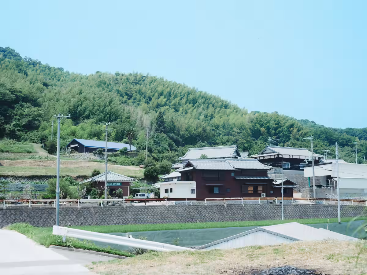 画像14