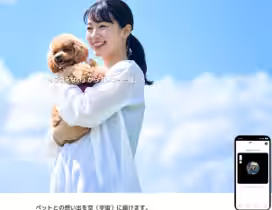 画像11