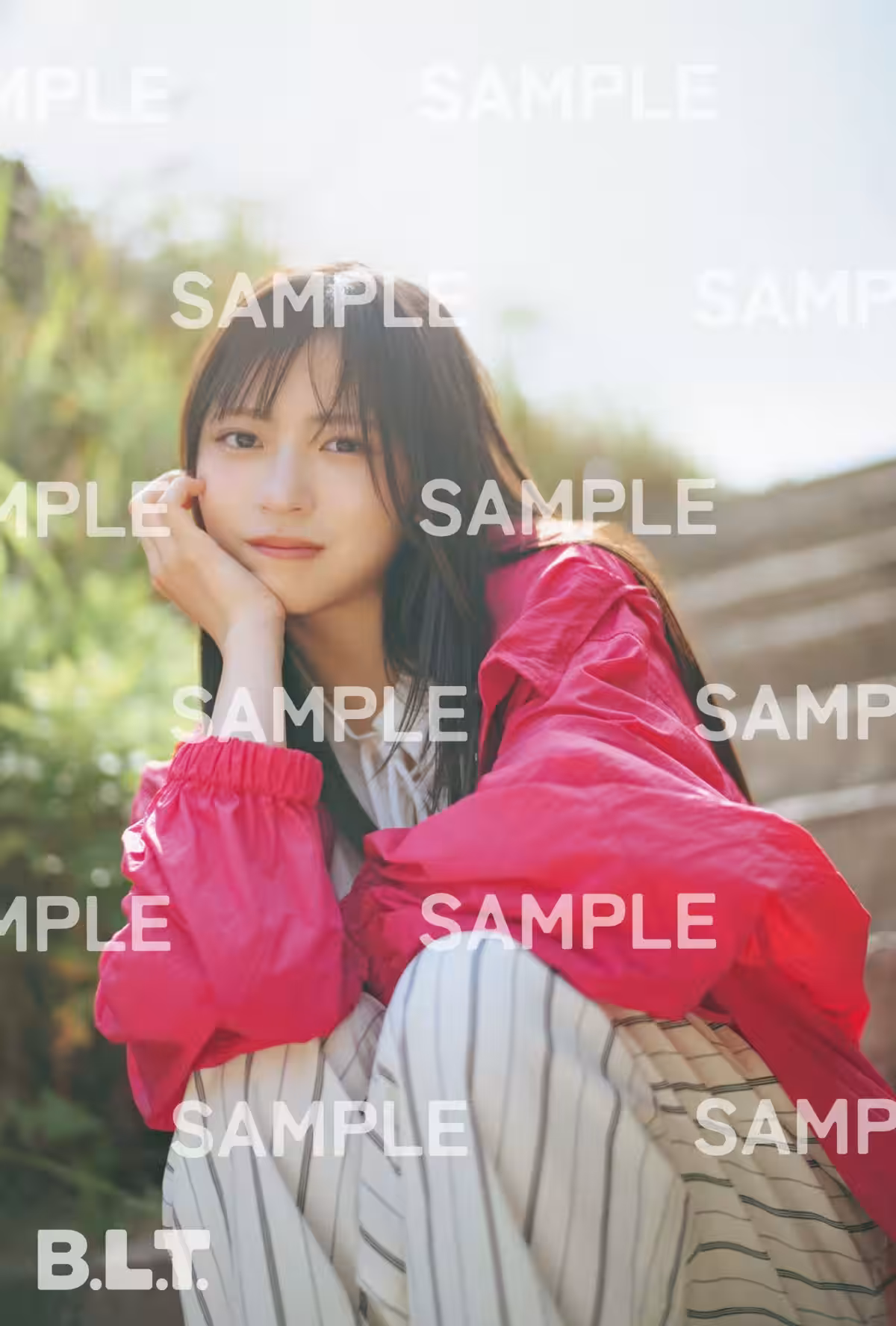画像8
