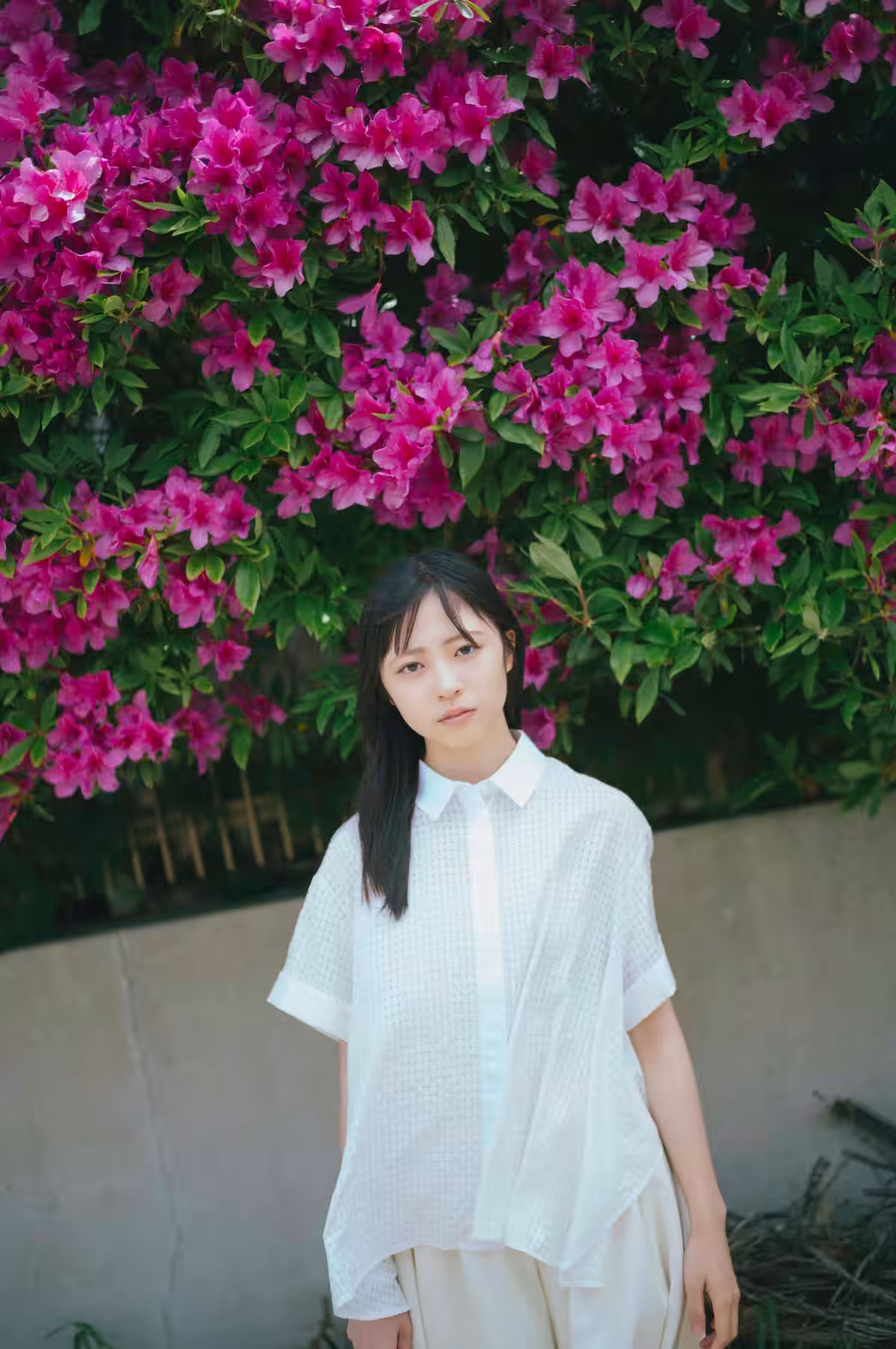 画像19