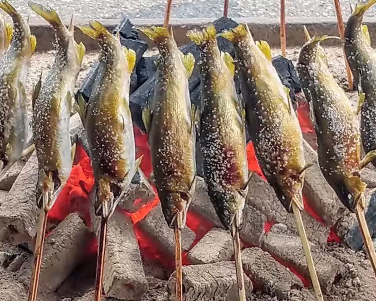 画像7