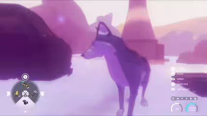 画像11