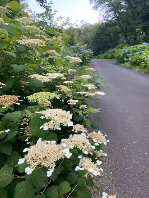 画像16