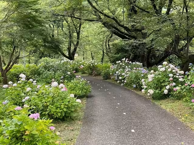 画像10