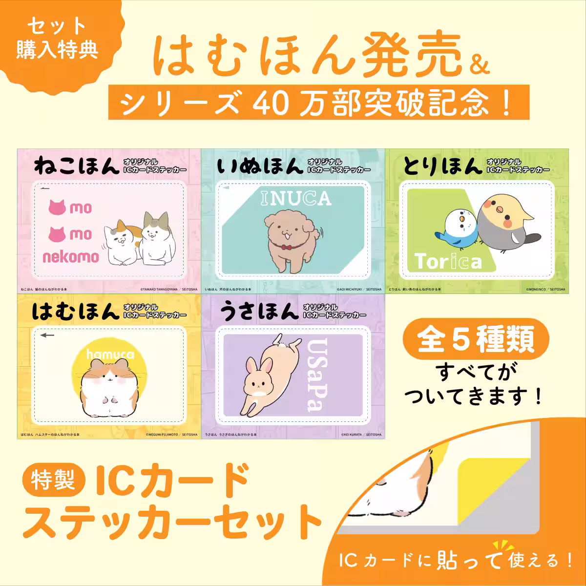 画像8