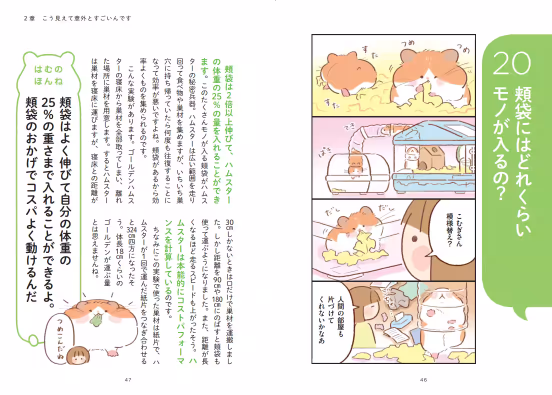画像4