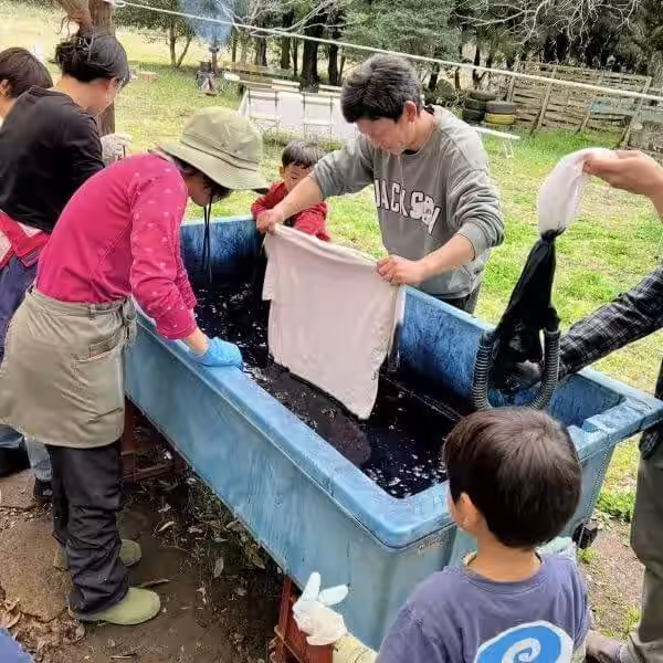 画像14
