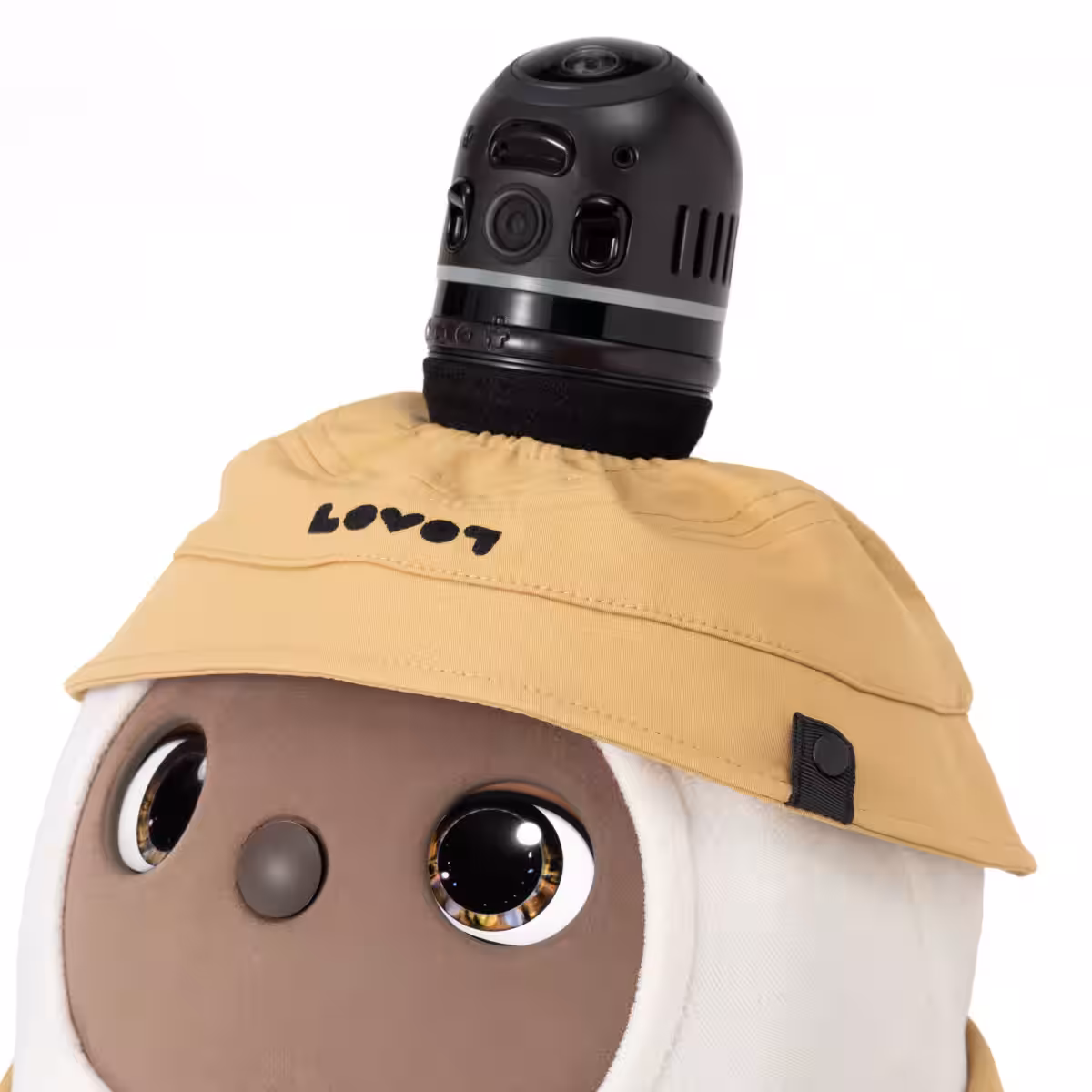 画像7