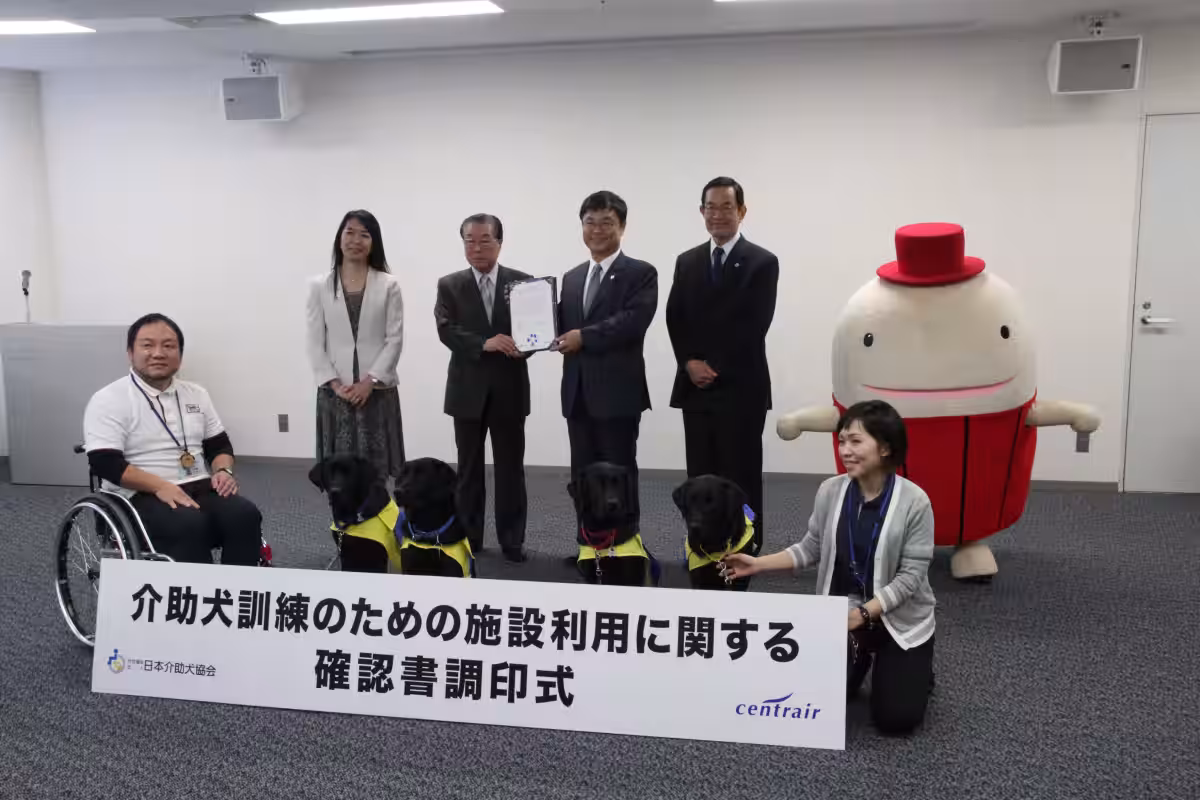 画像8