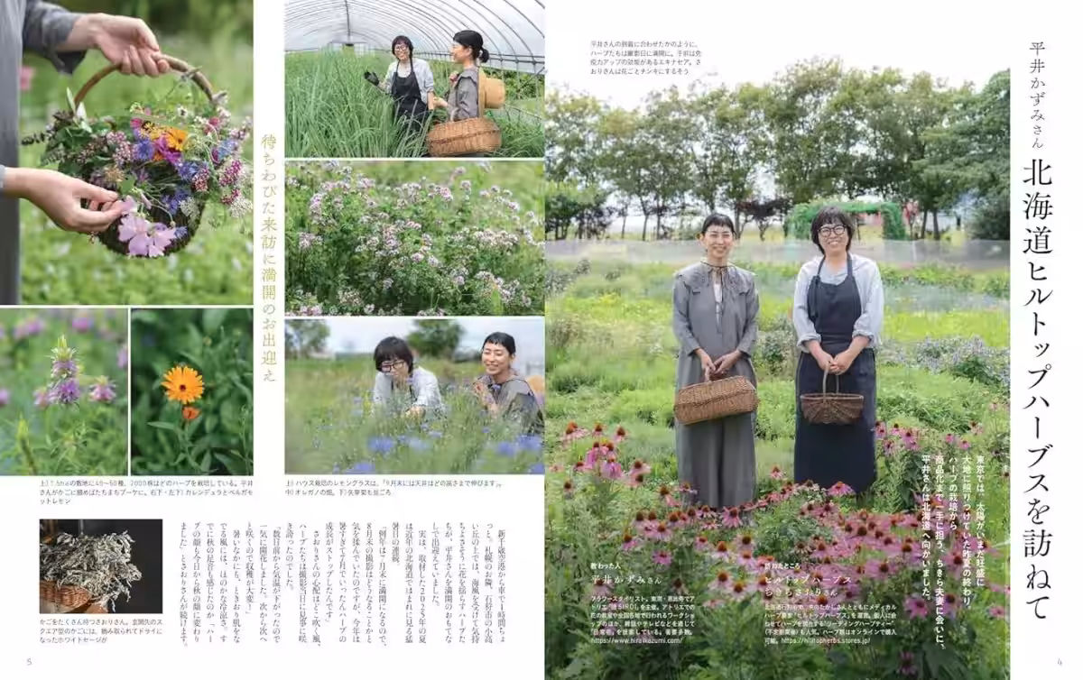 画像5