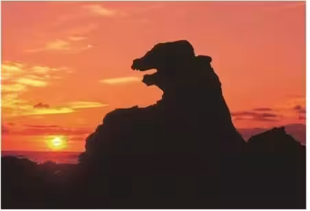 画像8