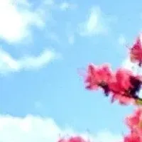 便利な南三陸観光