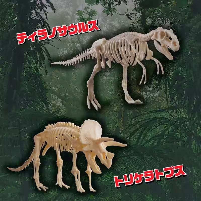 画像14