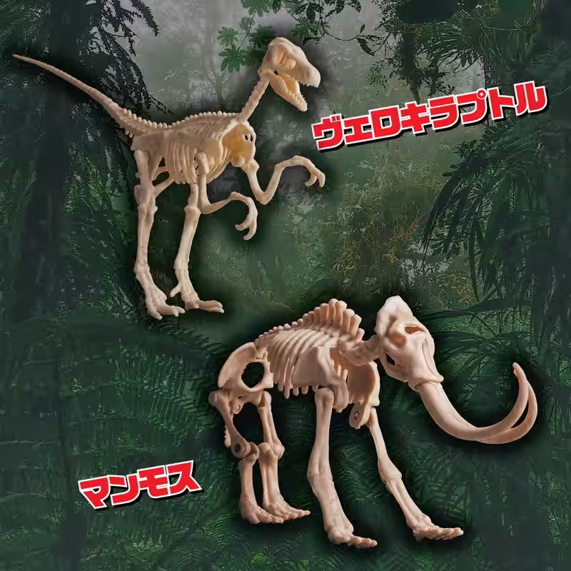 画像15