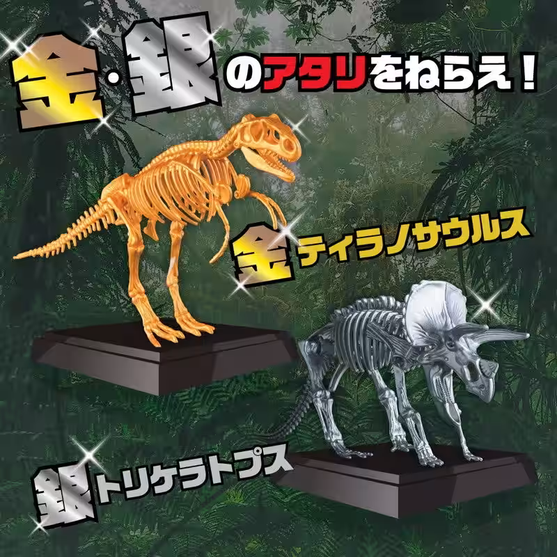 画像11