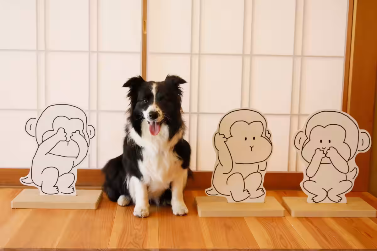 画像8