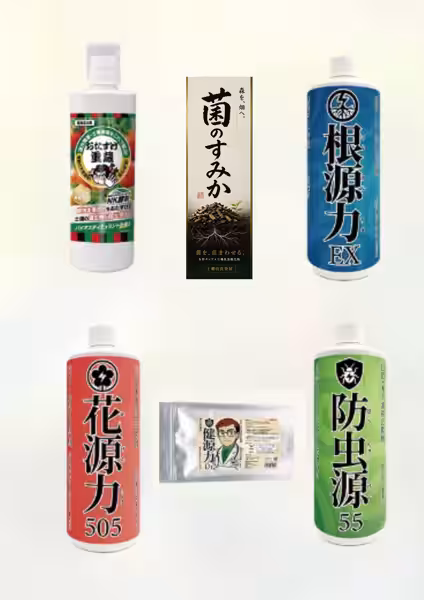画像6