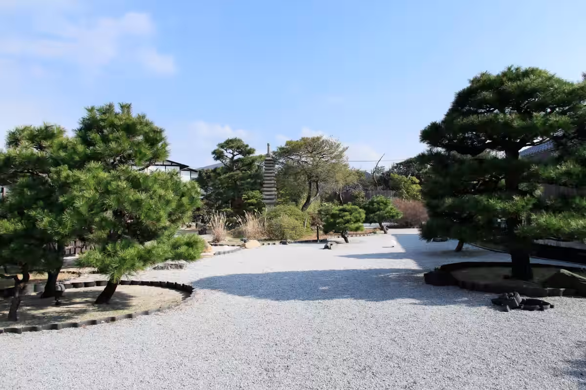 画像8