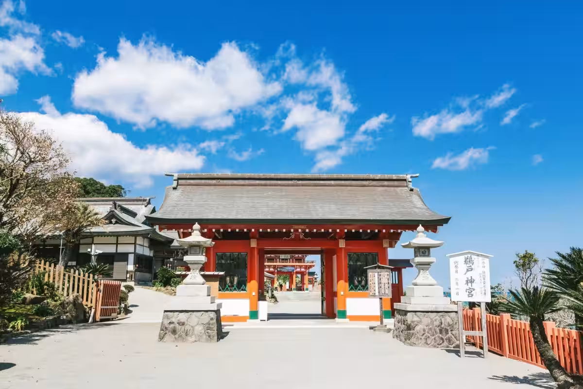 画像14
