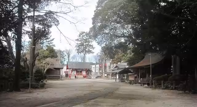 画像4