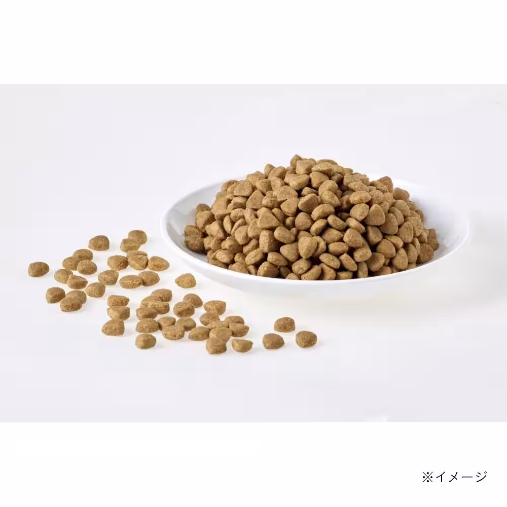 画像12