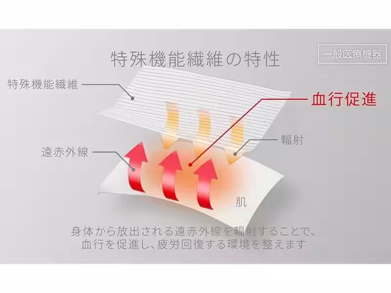 画像15