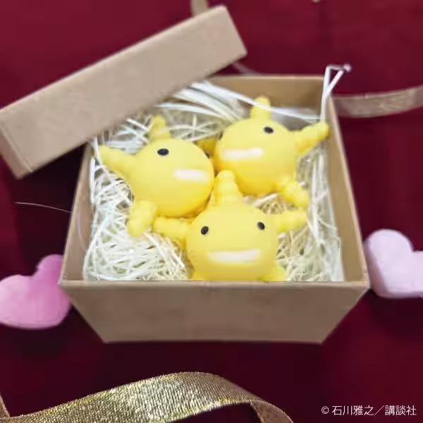 画像14