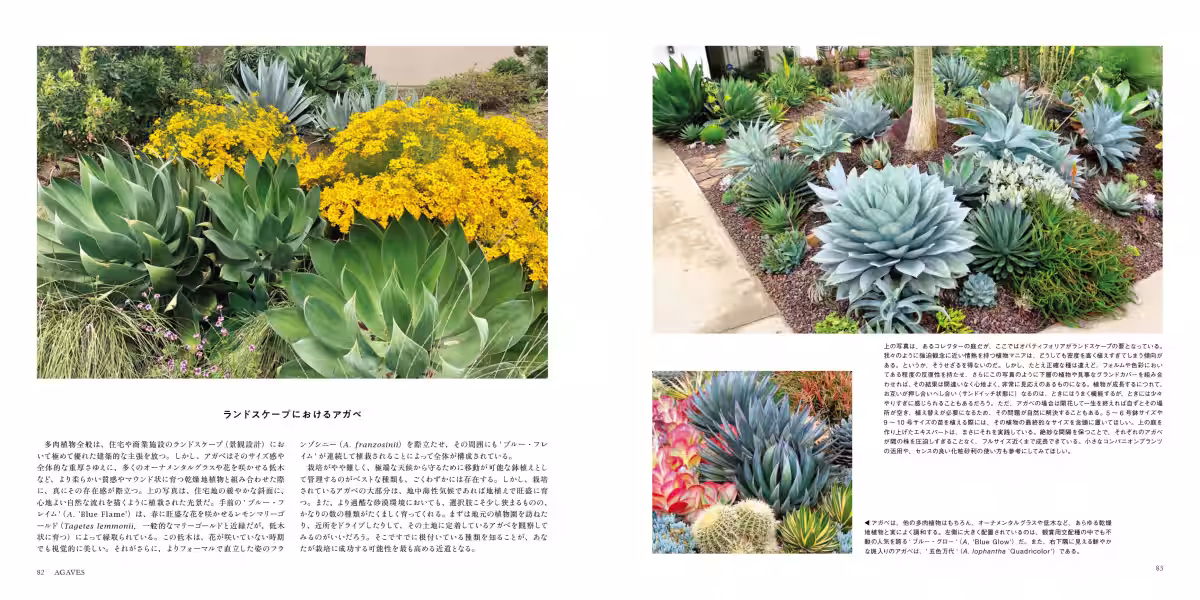 画像9