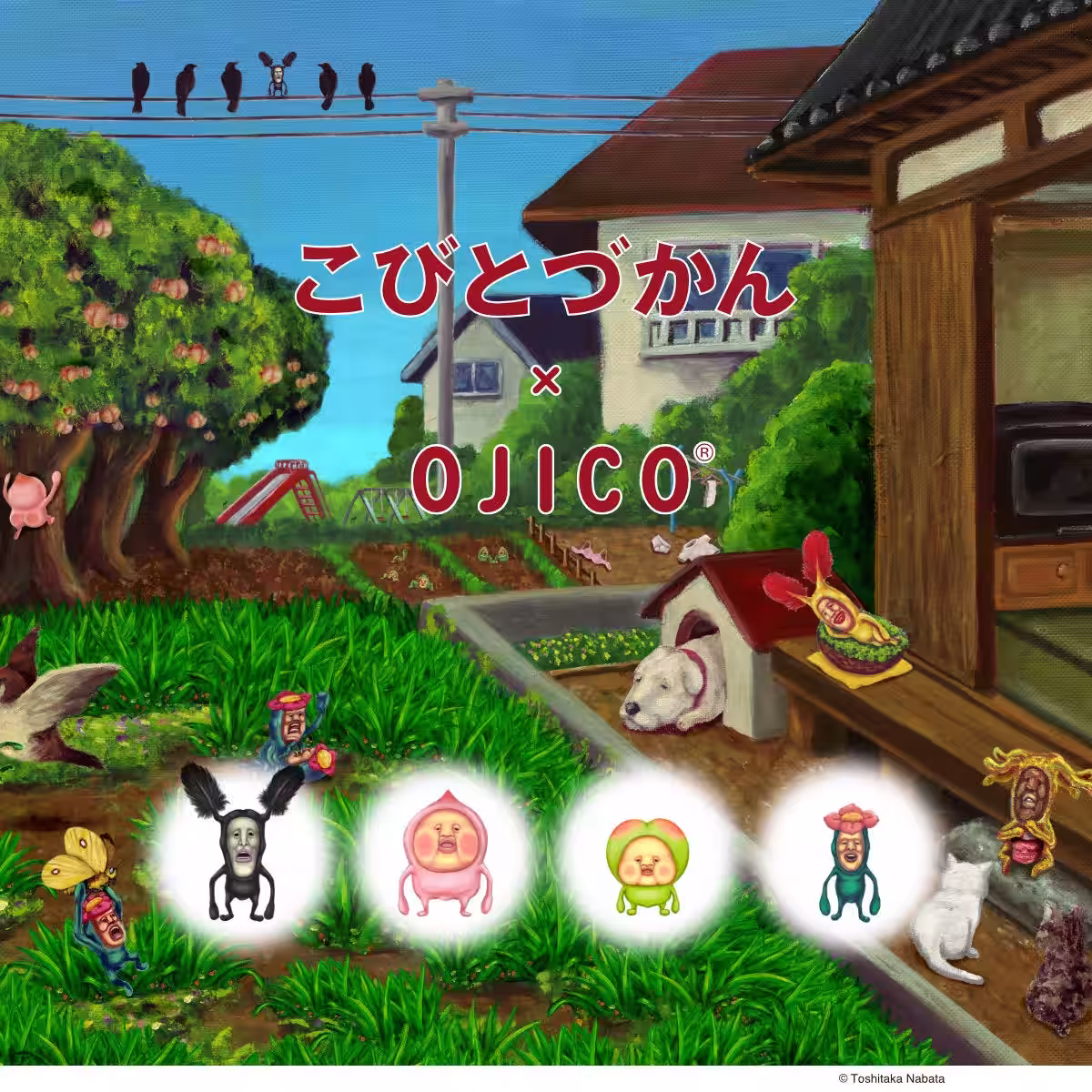 画像1